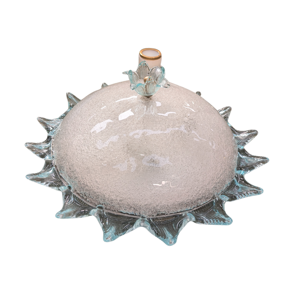 #6918 - cieling mount