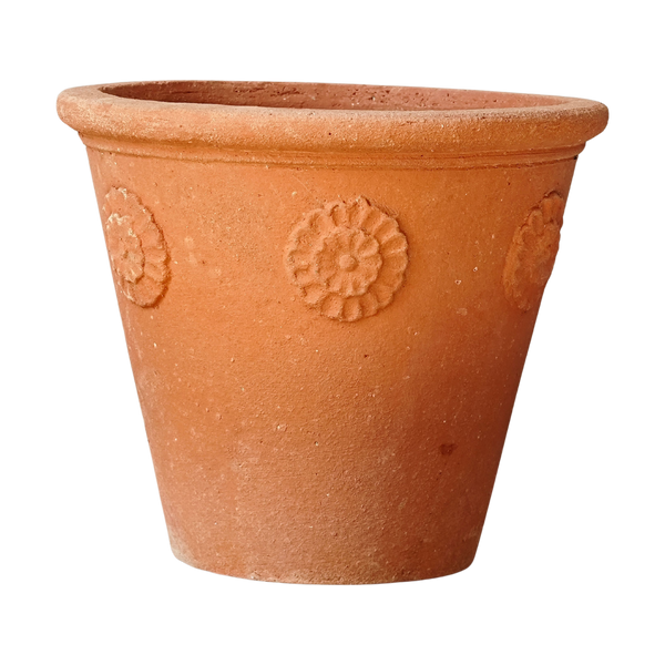 terracotta pot