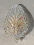 #8730 - pair Murano leaf sconces with finneal