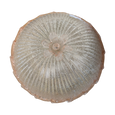 #7066 - cieling mount