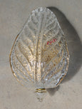 #8730 - pair Murano leaf sconces with finneal