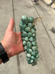 #8286 - Grapes