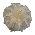 #6446 - Sealing mount