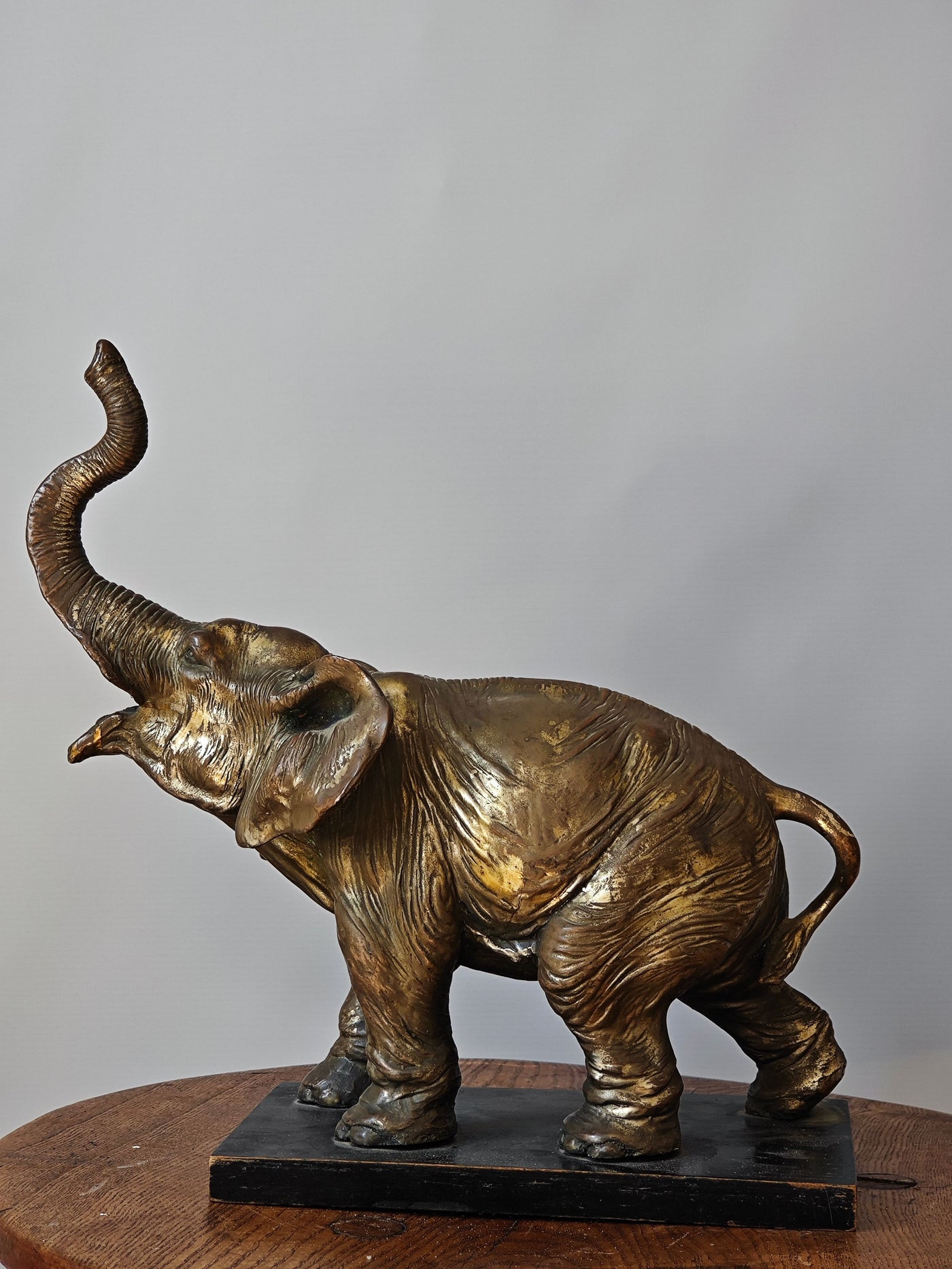 2482 - Elefant