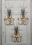 #8561-ACGG - Set of 3 Sconces
