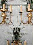 #8561-ACGG - Set of 3 Sconces