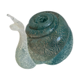 #7135 - Snail