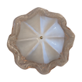 #7637 - Cieling mount