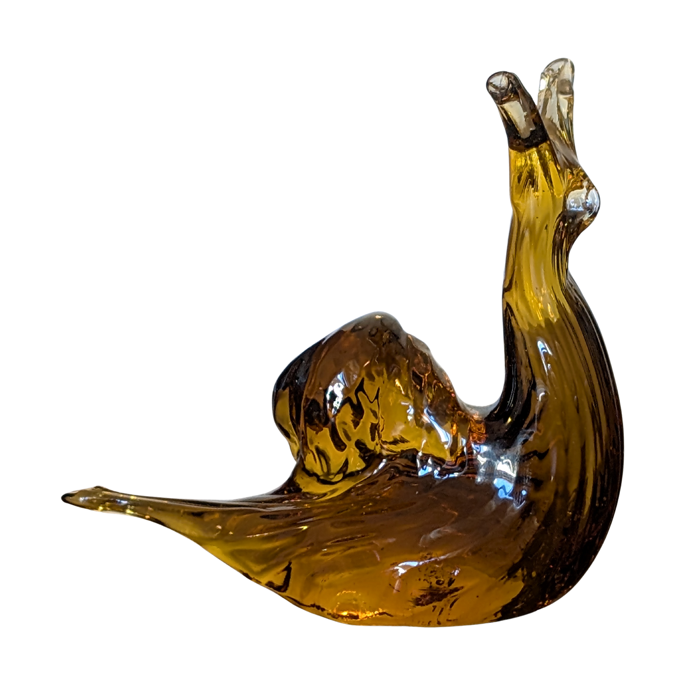 #6494 - Glass snail