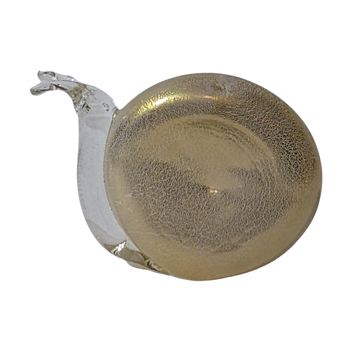 #7642 - Snail