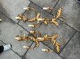 #8211-IGG-E - Pair of Sconces (2 Pair Available)