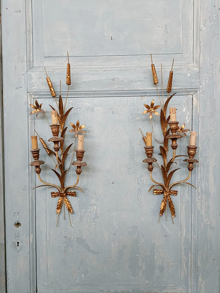 8503-UCGG - Pair of Sconces