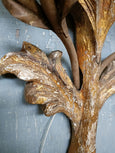 #8577-PHUG - Pair of Wood Sconces